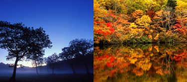 撮影ツアーの写真