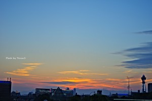 IMGP2495のコピー