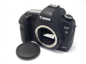 ｷﾔﾉﾝ EOS5DﾏｰｸⅡ