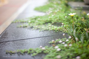 IMG_0655