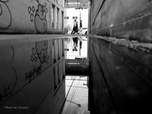 IMG_0012