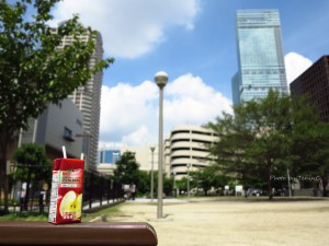 IMG_0041