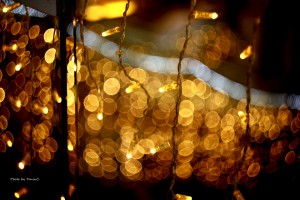 IMG_7406R