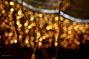IMG_7414R