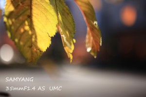 IMG_4915のコピー