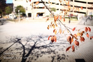 IMG_4890のコピー