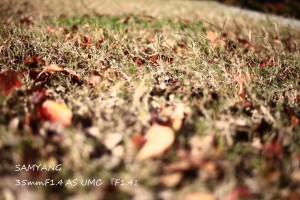 IMG_4899