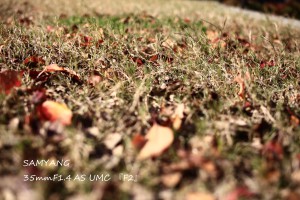 IMG_4900