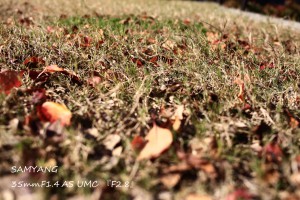 IMG_4902