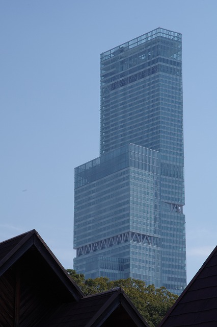 IMGP0709