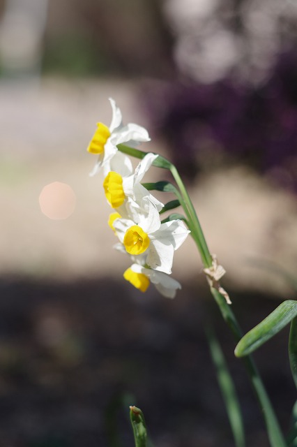 IMGP0732