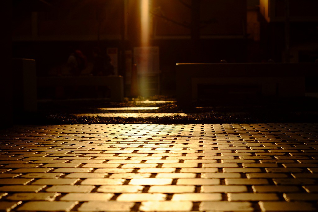 DSCF3796