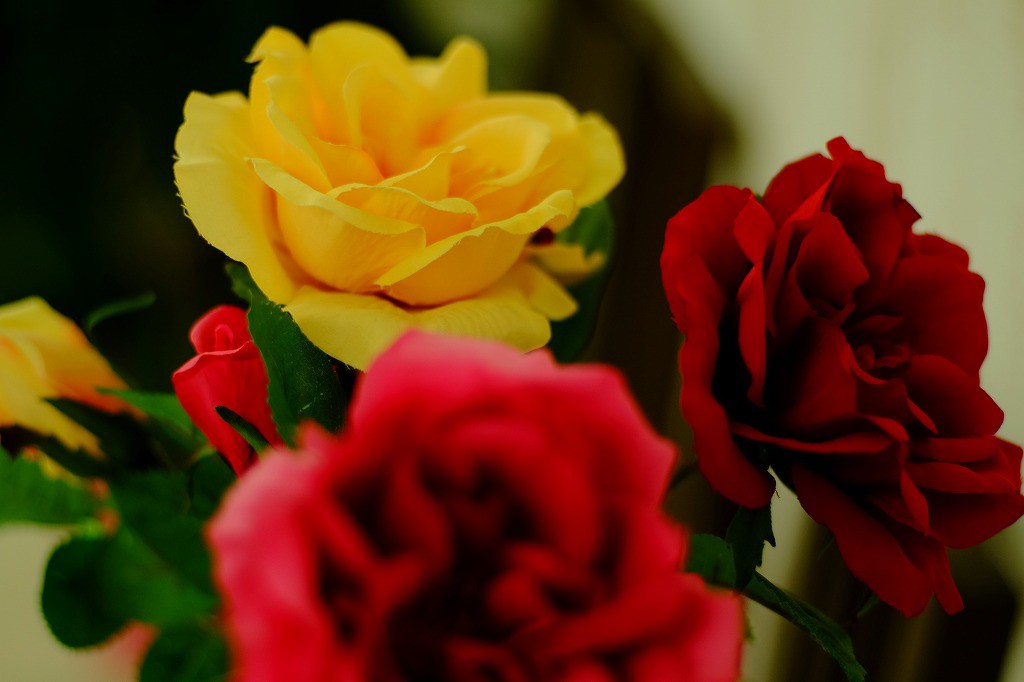 DSCF3858