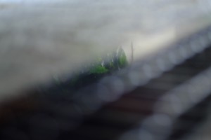 DSCF4057