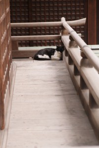 正体