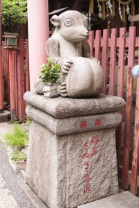 おたぬきさま