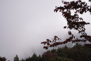 真っ白
