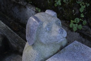 犬ﾍﾞﾝﾁ・ｱｯﾌﾟ