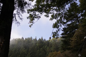合間の青空