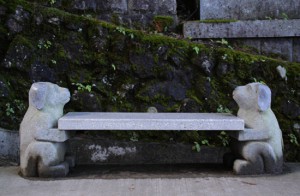 犬ﾍﾞﾝﾁ