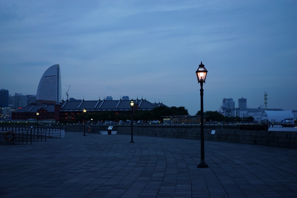 Sonnar T* FE 55mm F1.8 ZA