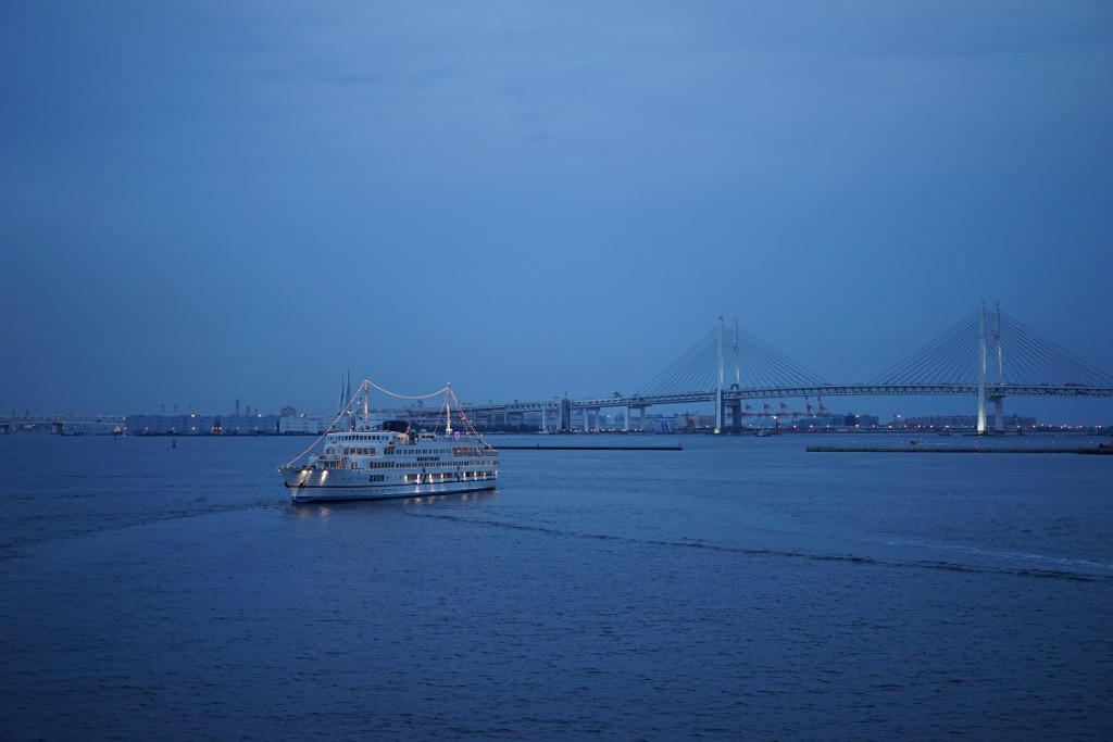 Sonnar T* FE 55mm F1.8 ZA