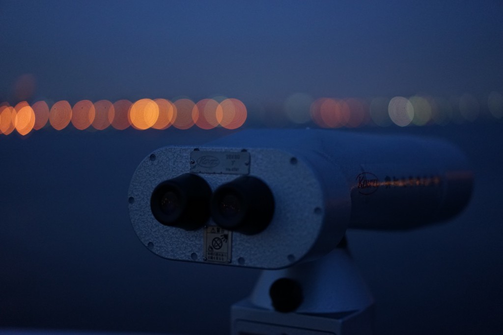 Sonnar T* FE 55mm F1.8 ZA