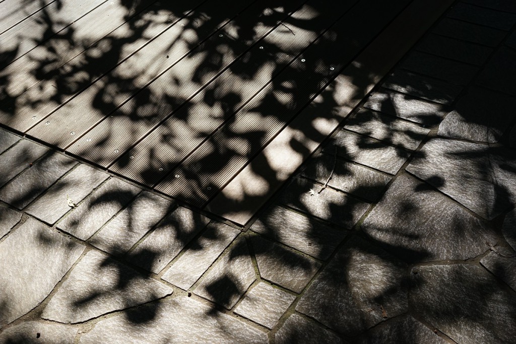 Sonnar T* FE 55mm F1.8 ZA