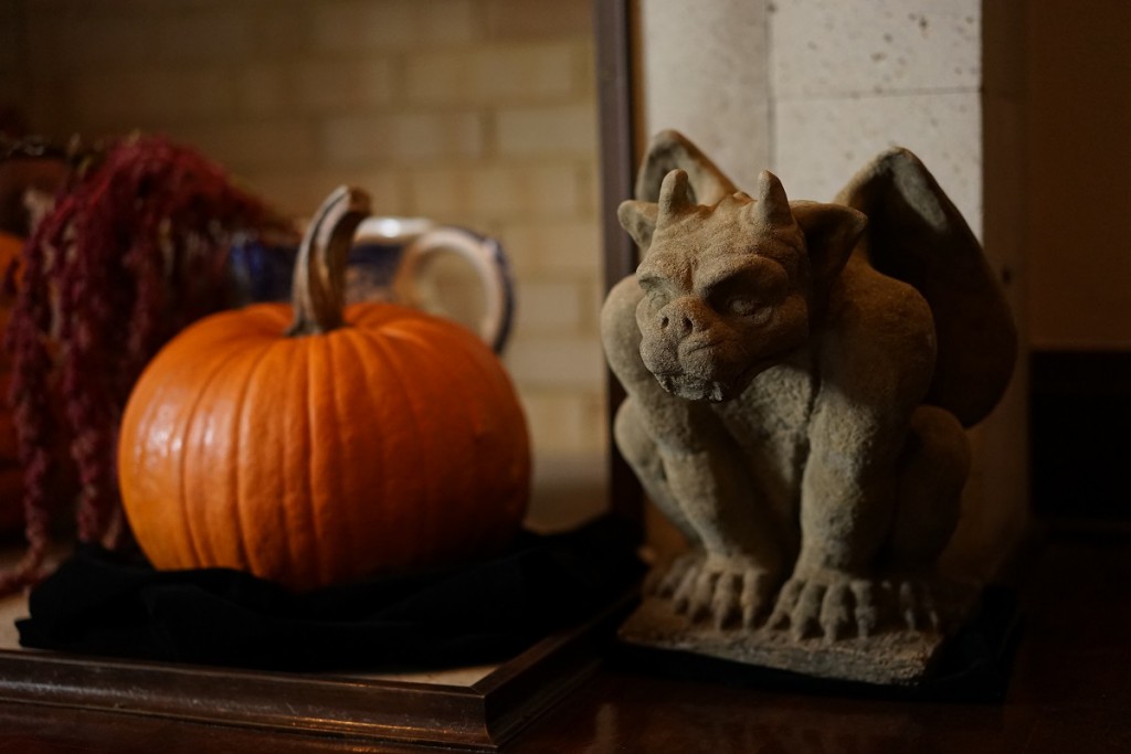 Sonnar T* FE 55mm F1.8 ZA