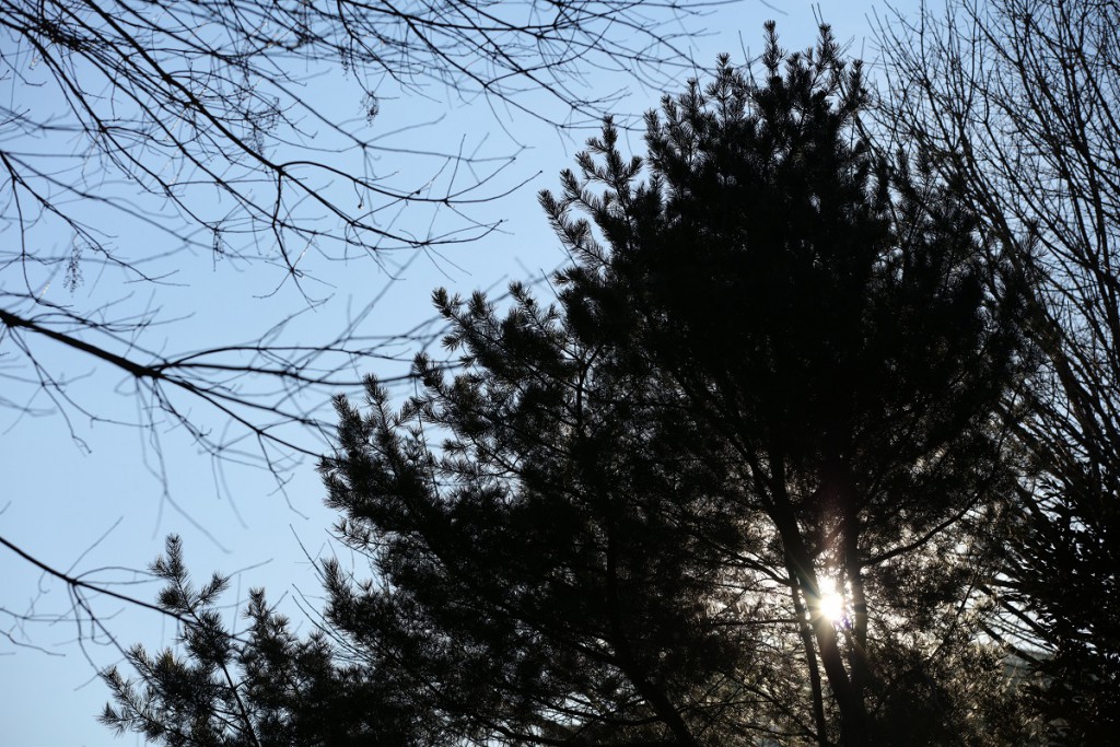 1/1600 F5.6 ISO200