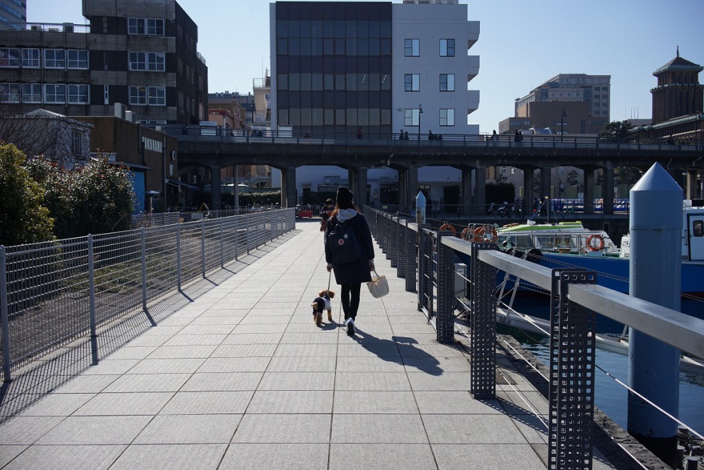 SONNAR T*FE35/F2.8 ZA