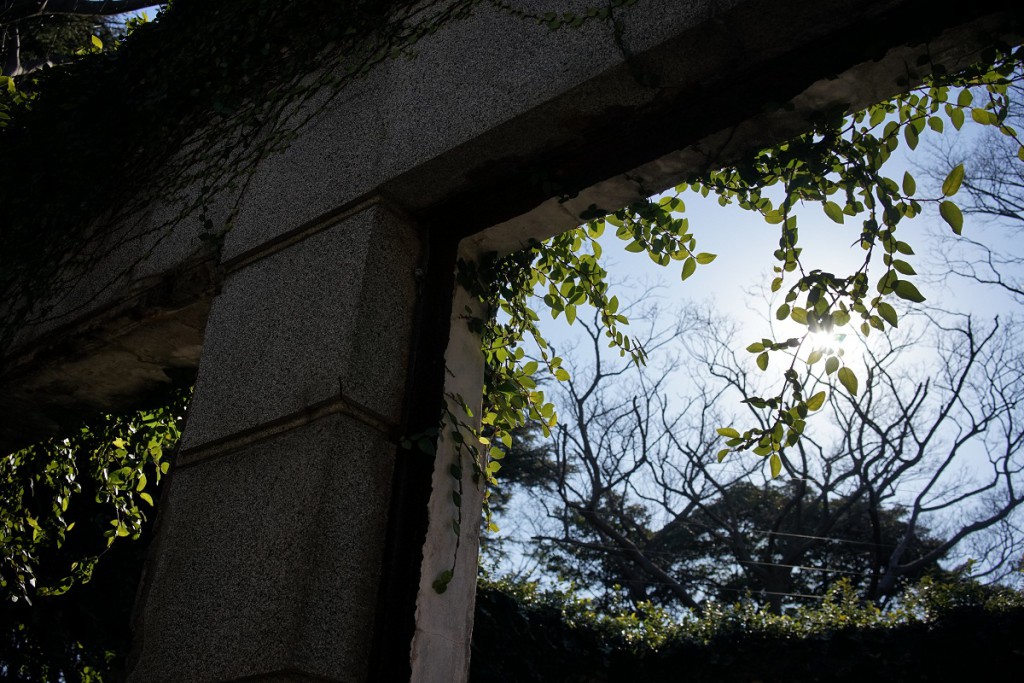SONNAR T*FE35/F2.8 ZA