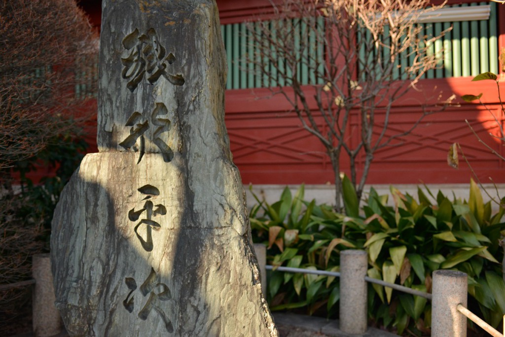 1/250 F5.6 ISO100