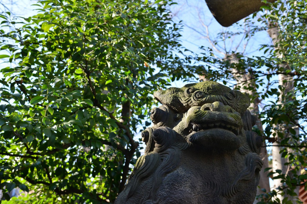 1/125 F5.6 ISO100