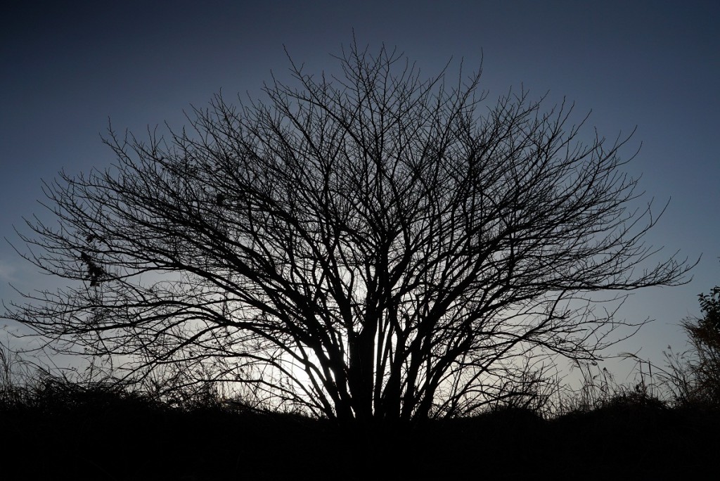 FE 24-240mm F3.5-6.3 OSS
