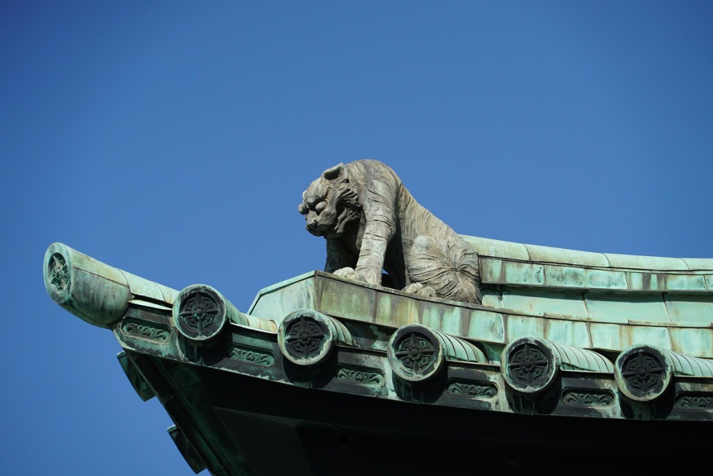 FE 24-240mm F3.5-6.3 OSS