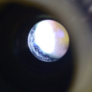 YVAR13