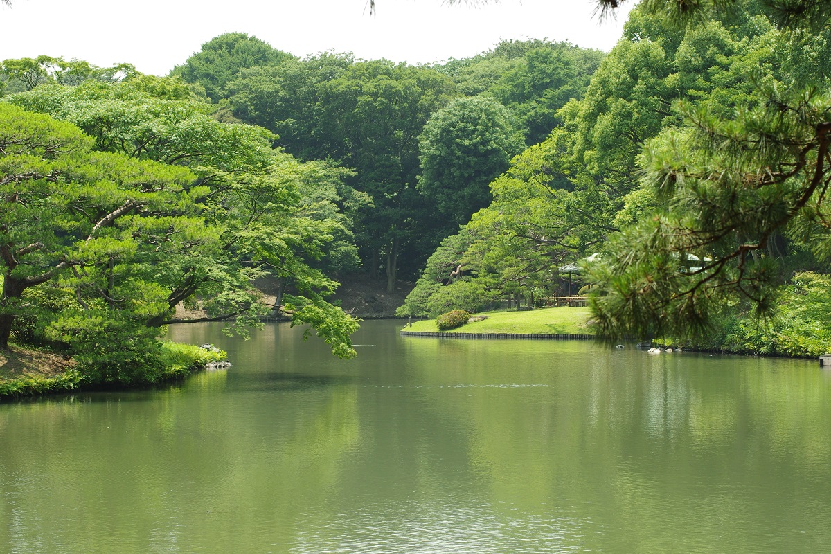 商品レビュー】smc PENTAX-DA☆55mmF1.4 SDM