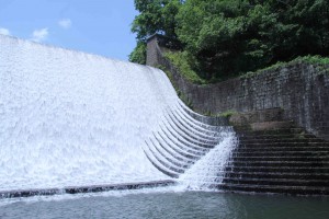 IMG_8599_edited-1