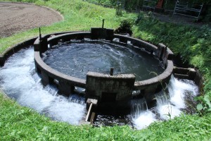 IMG_8638