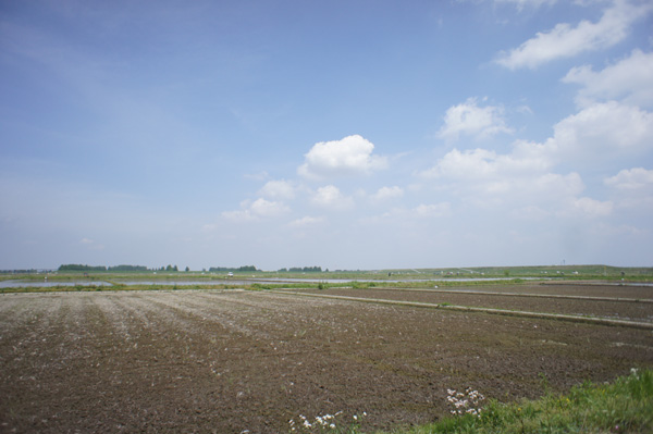 田園地帯
