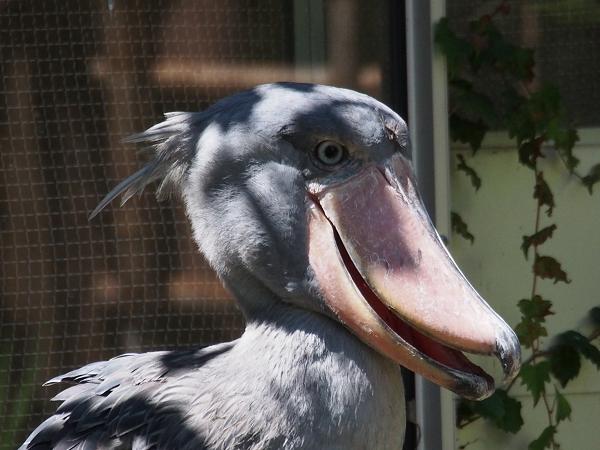 MズイコーED75-300mmF4.8-6.7Ⅱレビュー