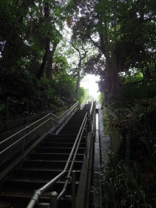 等々力渓谷