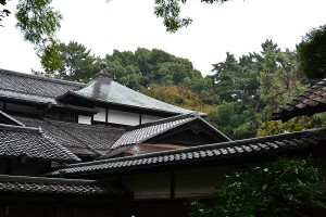 AF-S DX NIKKOR 18-55mmf3.5-5.6G VRⅡ