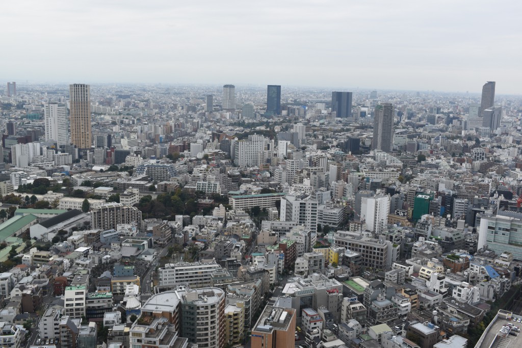 f8.0　1/250　ISO 200