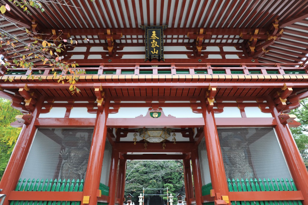ｆ４．５　１／８０　ISO ４００
