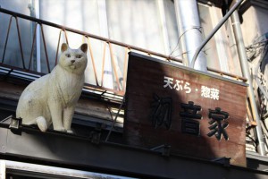 CANON（キヤノン） EF-S18-55mm F3.5-5.6 IS STM_20