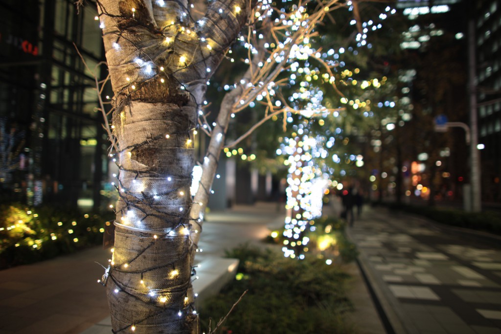 キヤノン EF24mm F1.4L USM(7)