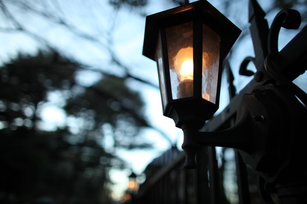 キヤノン EF24mm F1.4L USM(8)