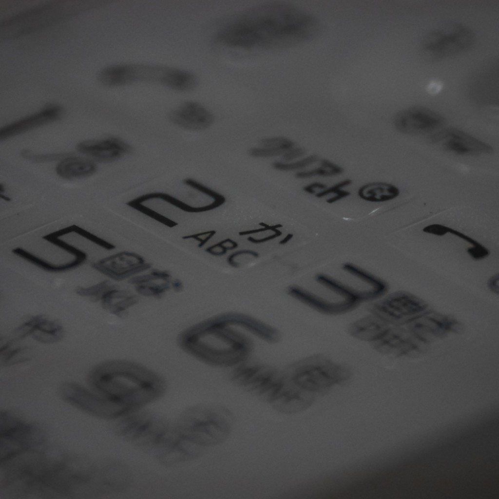 Panasonic LUMIX GM1(3)